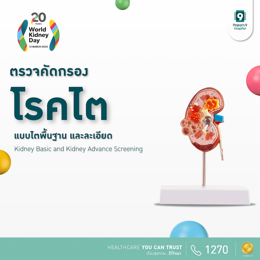 แพ็กเกจตรวจคัดกรองโรคไต