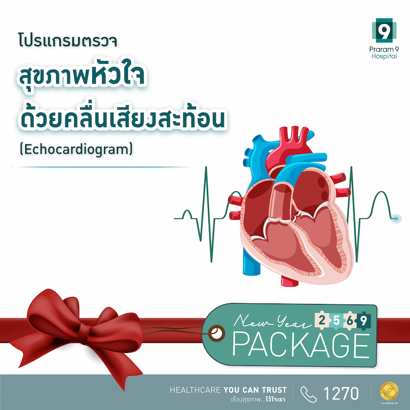 โปรแกรมตรวจสุขภาพหัวใจด้วยคลื่นเสียงสะท้อน (Echo)