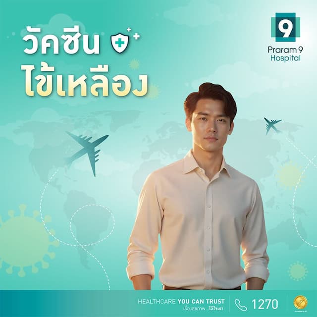 แพ็กเกจวัคซีนไข้เหลือง