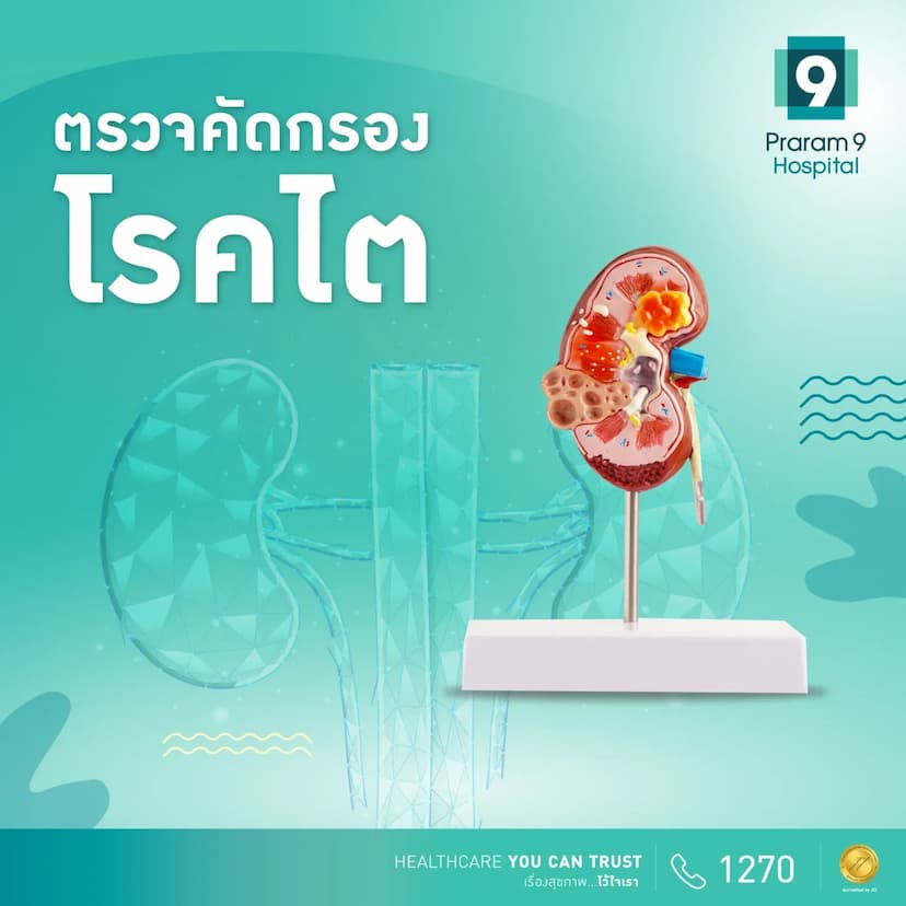 แพ็กเกจตรวจคัดกรองโรคไต