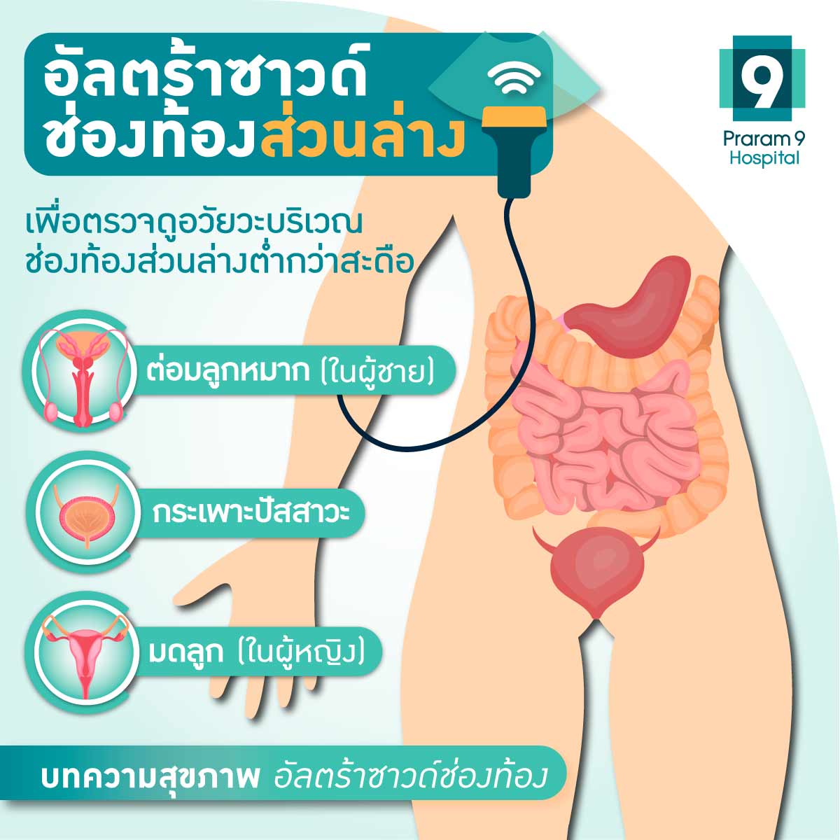 อัลตร้าซาวด์ช่องท้อง เพื่อวินิจฉัยโรคต่างๆ ในช่องท้องที่ตามองไม่เห็น