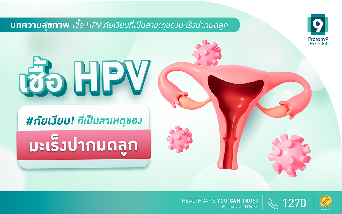 เชื้อ hpv